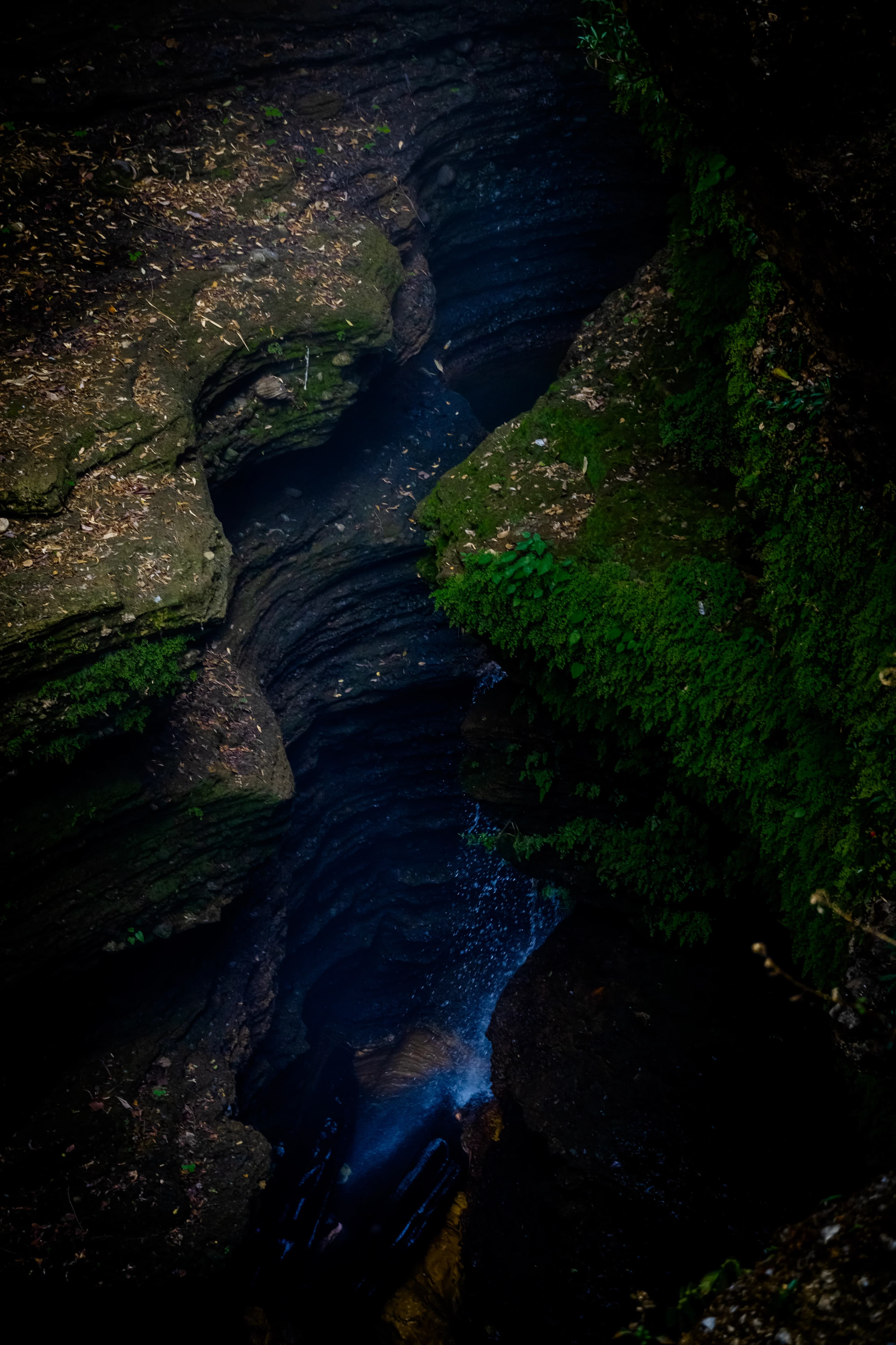fourth image