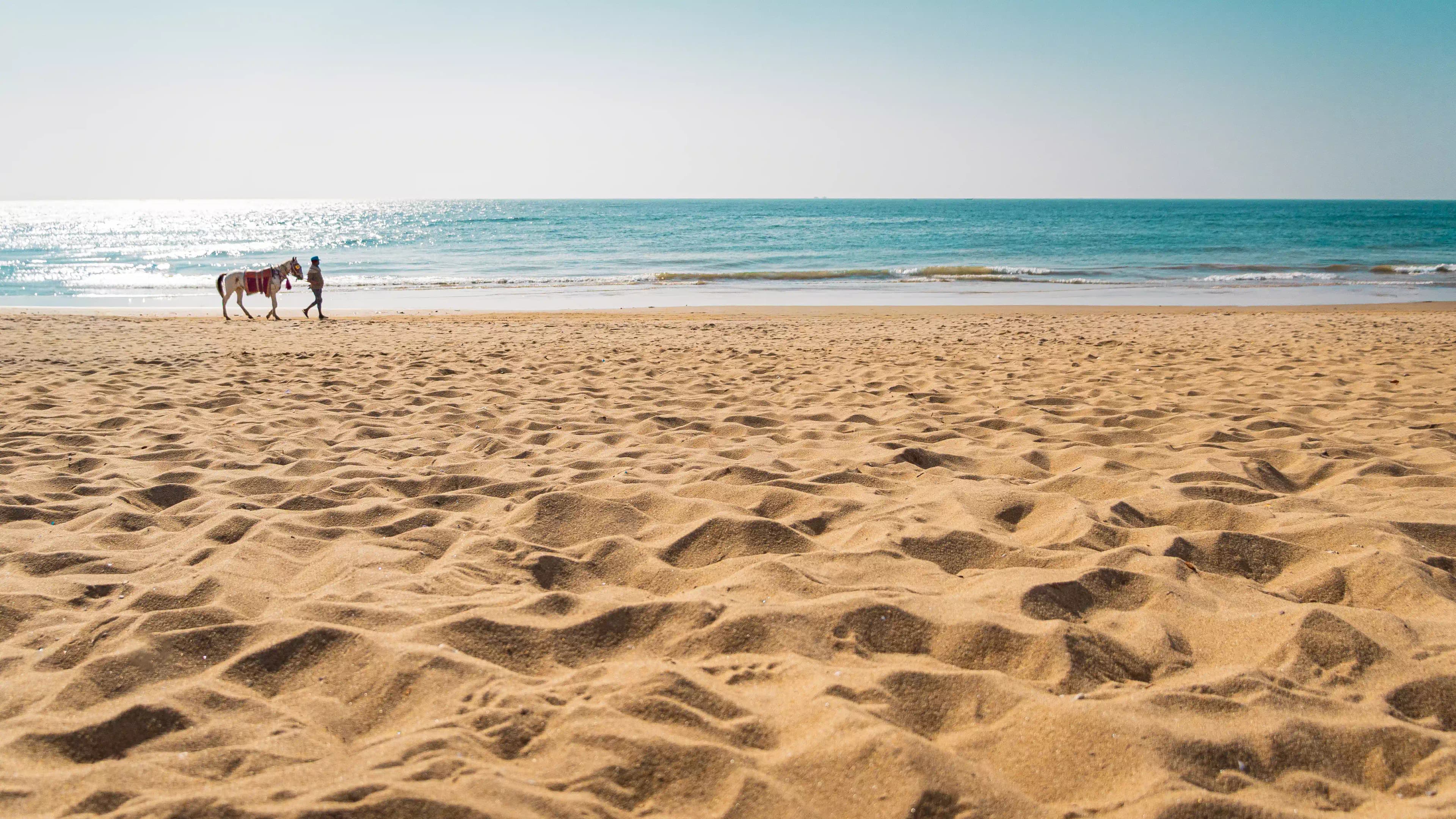 SHADES OF INDIA - a Photographer, Video Editor and a Cinematographer